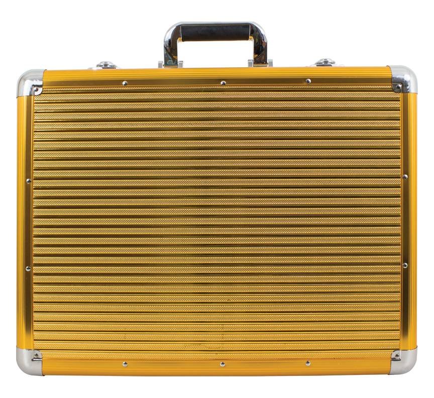 VINCENT MASTERCASE LARGE GOLD